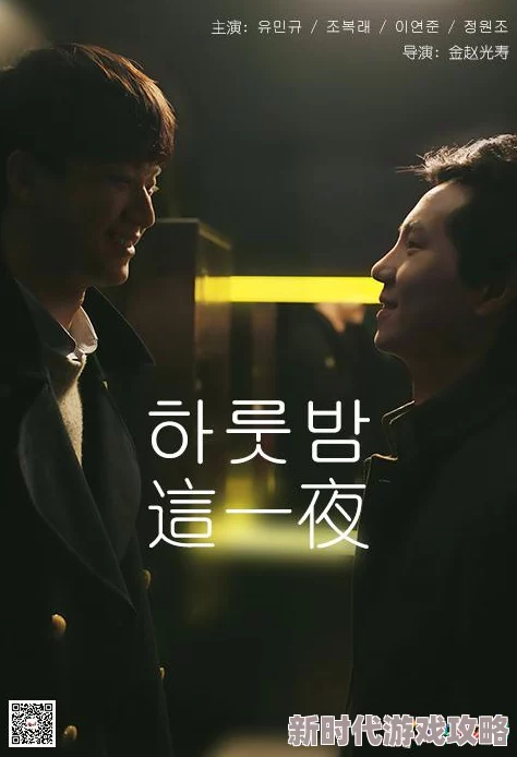 最后一夜韩剧电影完整在线观看画质模糊音轨不同步剧情老套浪费时间