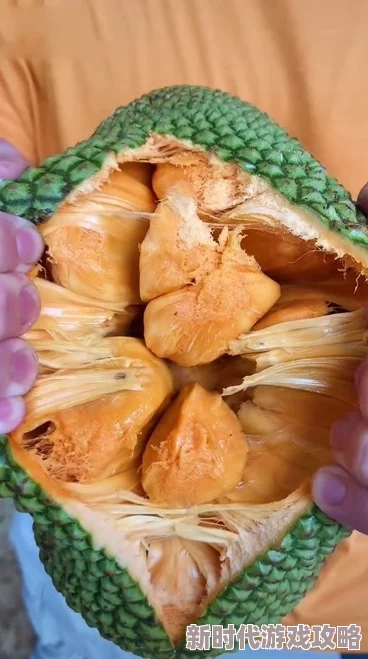 菠萝蜜视频在线播放画质清晰流畅内容丰富更新及时