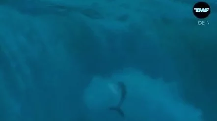 AtlanticOcean的《ADancewithDragons》现已推出有声书和电子书版本 AtlanticOcean的《ADancewithDragons》现已推出有声书和电子书版本