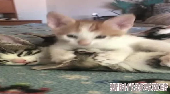 爱爱吸奶疑似恋童癖内容恳请有关部门调查