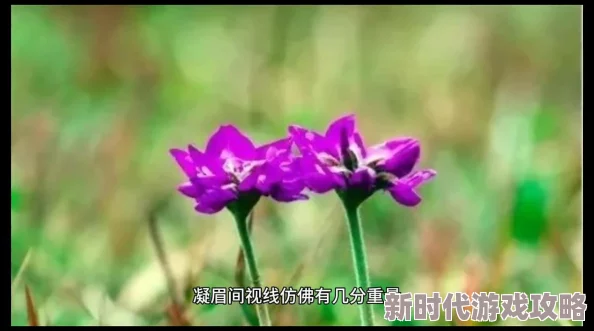 傅小官穿越小说全文免费阅读探讨古代官场文化与科举制度的变革历程 傅小官穿越小说全文免费阅读探讨古代官场文化与科举制度的变革历程