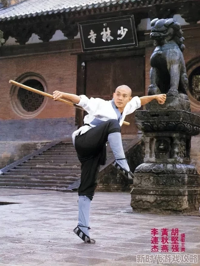 wwwwxxxxx日本黄飞鸿少林拳传承武术精神激励人心勇往直前追求卓越