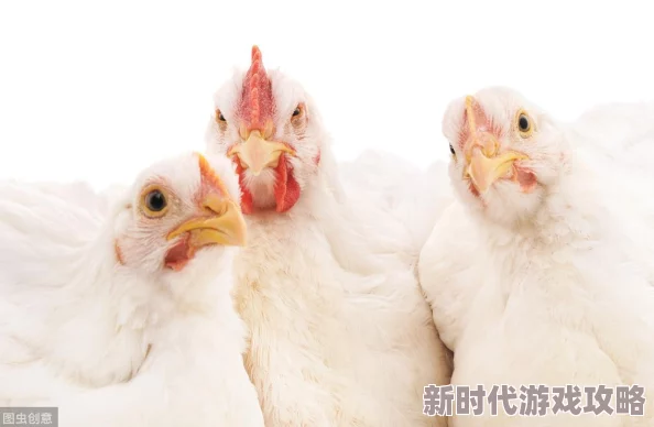 www黄色为什么吸引眼球因为它提供了视觉上的冲击为何备受关注因为它填补了某些人的情感空虚