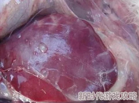 www黄色为什么吸引眼球因为它提供了视觉上的冲击为何备受关注因为它填补了某些人的情感空虚