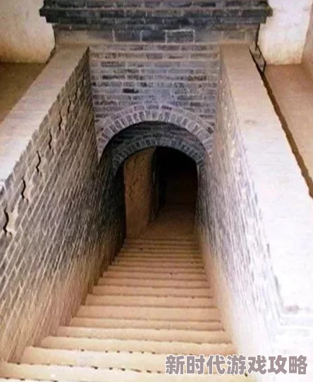 DNF2025年宠物珠宝爆料：哪款宠物珠宝最好用？