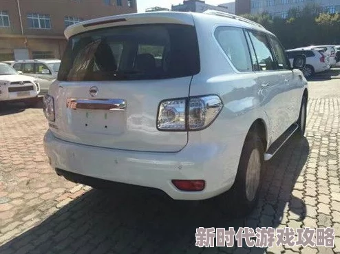 欧产 日产 国产69 因其工艺精湛设计独特性能优越而备受瞩目 欧产 日产 国产69 因其工艺精湛设计独特性能优越而备受瞩目