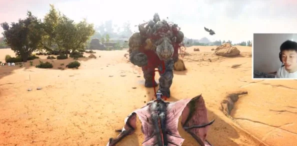 狮鹫在《方舟生存进化》中各大地图分布爆料