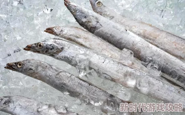 2024年度精选！多款高质量爆款鱼游戏下载推荐来袭