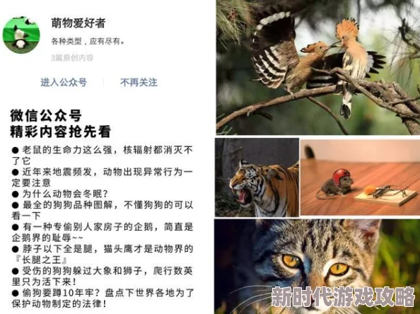 揭秘:小生活成年期动物不为人知的独特用处与惊人爆料 揭秘:小生活成年期动物不为人知的独特用处与惊人爆料