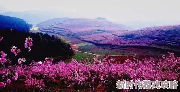 春色寄情人免费观看电视剧完整版春日暖阳与你共赏甜蜜爱情 春色寄情人免费观看电视剧完整版春日暖阳与你共赏甜蜜爱情