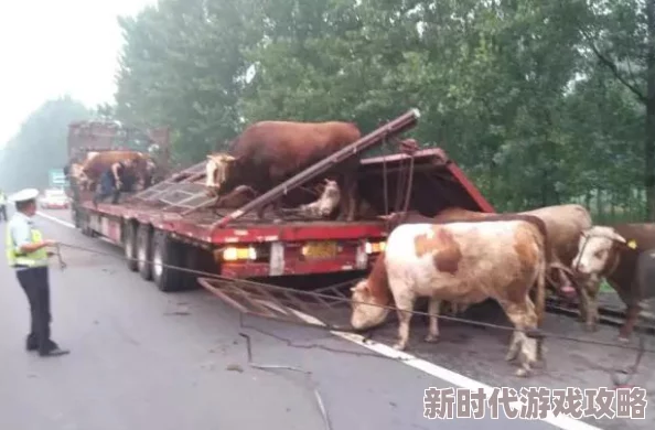 2025年热门游戏攻略:求生之路2指令大全及武器指令使用方法详解 2025年热门游戏攻略:求生之路2指令大全及武器指令使用方法详解