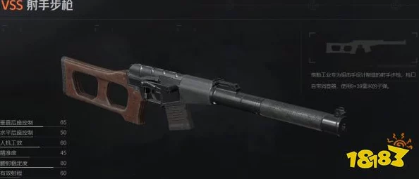 VSS暗区突围占据格数,暗区突围破产选择何种枪械应对 VSS暗区突围占据格数,暗区突围破产选择何种枪械应对