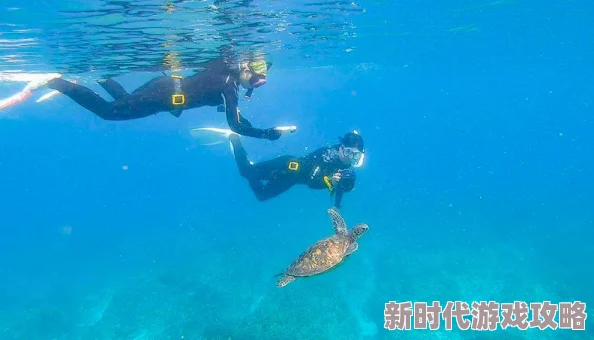 2025年我的世界中海龟的多样用途与生态价值介绍 2025年我的世界中海龟的多样用途与生态价值介绍