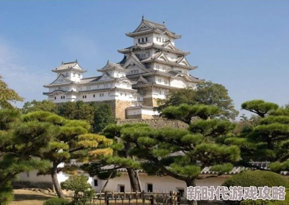 2025年领主传奇殉教者最优使用策略与最新玩法解析